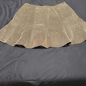 Express Mini Skirt